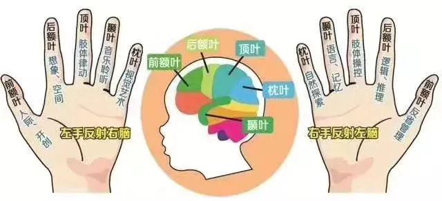 皮纹测试有科学依据吗