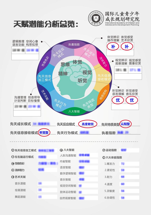 小玉天赋优势测评总览