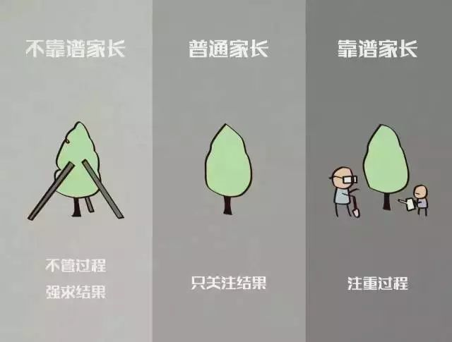 满分的父母看过程，不及格的父母只看结果