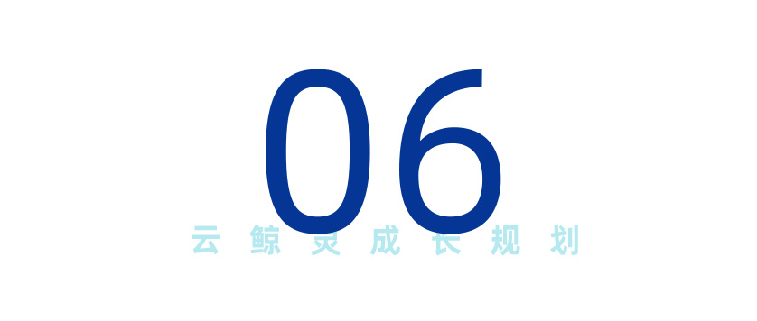 数字标题6.jpg